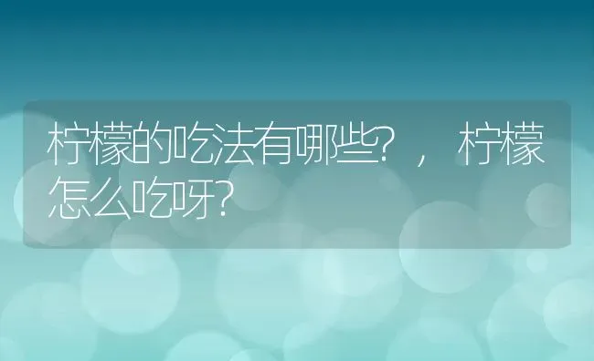 柠檬的吃法有哪些?,柠檬怎么吃呀？ | 养殖科普