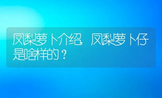 凤梨萝卜介绍,凤梨萝卜仔是啥样的？ | 养殖科普