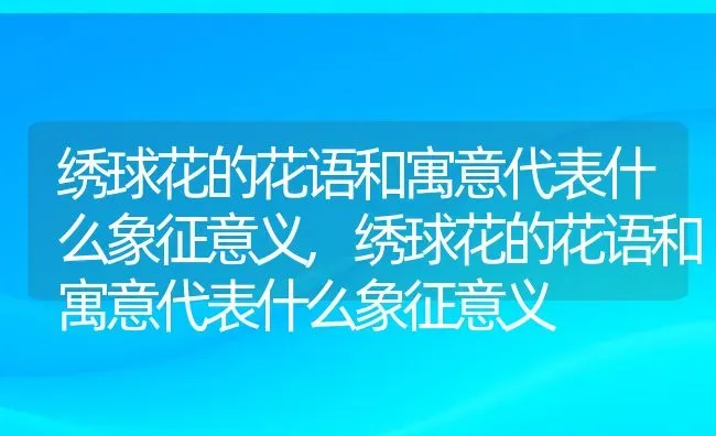 绣球花的花语和寓意代表什么象征意义,绣球花的花语和寓意代表什么象征意义 | 养殖科普