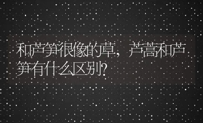 和芦笋很像的草,芦蒿和芦笋有什么区别？ | 养殖科普