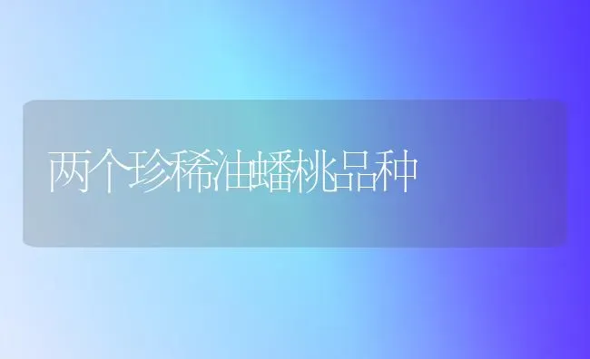 两个珍稀油蟠桃品种 | 养殖技术大全