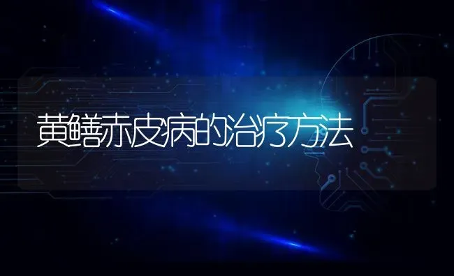 黄鳝赤皮病的治疗方法 | 养殖技术大全
