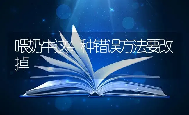 喂奶牛这4种错误方法要改掉 | 养殖技术大全