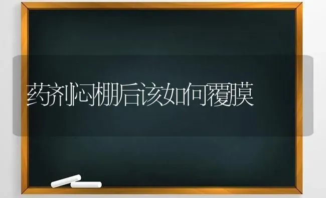 药剂闷棚后该如何覆膜 | 养殖技术大全