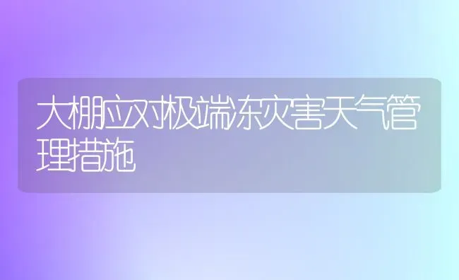 大棚应对极端冻灾害天气管理措施 | 养殖知识