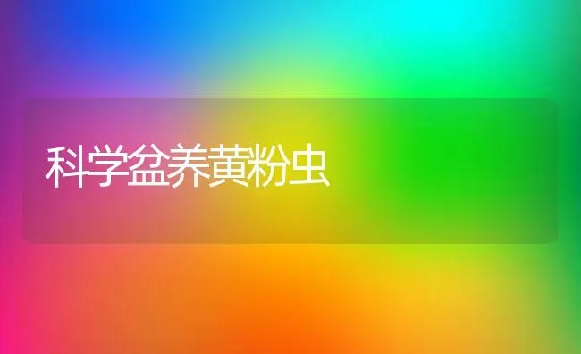 科学盆养黄粉虫 | 养殖技术大全