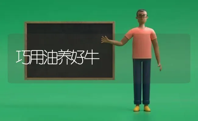 巧用油养好牛 | 养殖知识