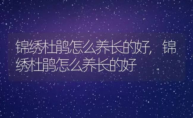 锦绣杜鹃怎么养长的好,锦绣杜鹃怎么养长的好 | 养殖科普