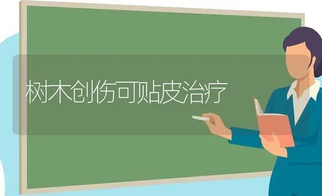 树木创伤可贴皮治疗 | 养殖知识