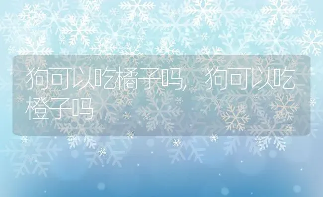 狗可以吃橘子吗,狗可以吃橙子吗 | 养殖资料