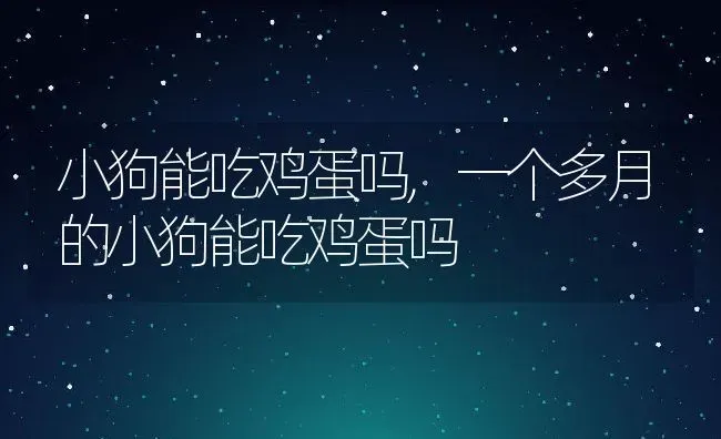 小狗能吃鸡蛋吗,一个多月的小狗能吃鸡蛋吗 | 养殖科普