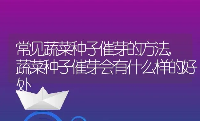 常见蔬菜种子催芽的方法,蔬菜种子催芽会有什么样的好处 | 养殖学堂