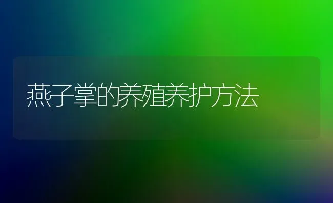 燕子掌的养殖养护方法 | 养殖知识