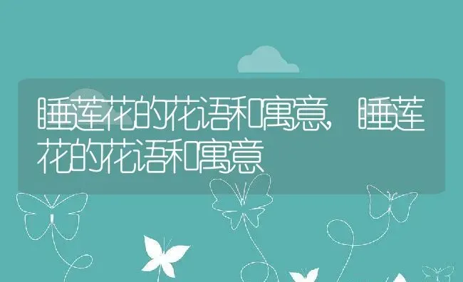 水培大蒜的方法,小学生水培大蒜的方法 | 养殖科普