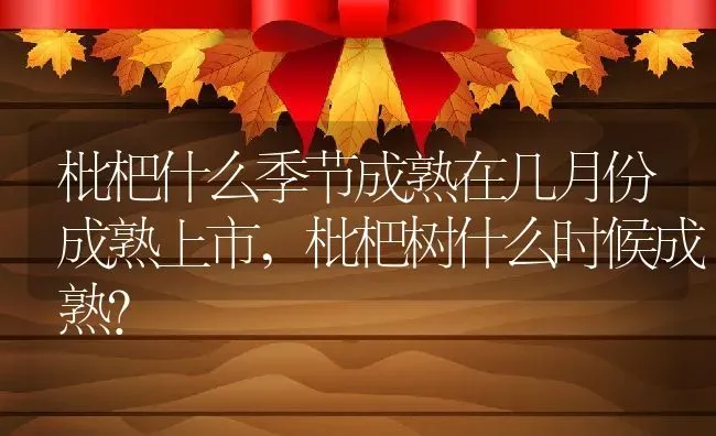 枇杷什么季节成熟在几月份成熟上市,枇杷树什么时候成熟？ | 养殖科普