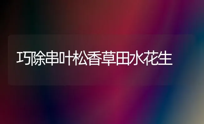 巧除串叶松香草田水花生 | 养殖知识