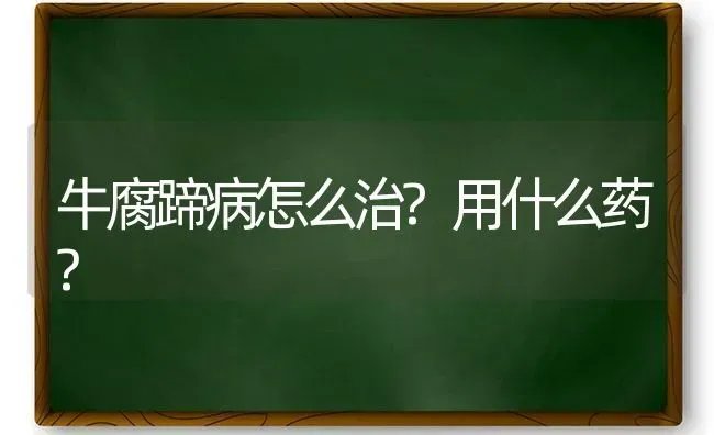 牛腐蹄病怎么治?用什么药? | 养殖技术大全