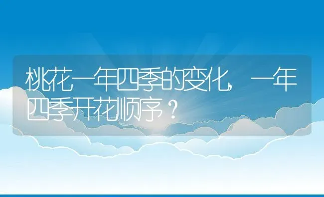 桃花一年四季的变化,一年四季开花顺序？ | 养殖科普