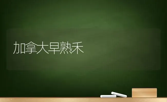 加拿大早熟禾 | 养殖技术大全