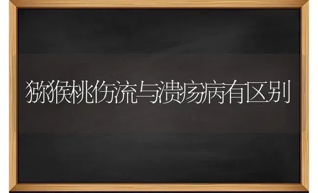 猕猴桃伤流与溃疡病有区别 | 养殖技术大全