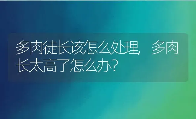 多肉徒长该怎么处理,多肉长太高了怎么办？ | 养殖科普