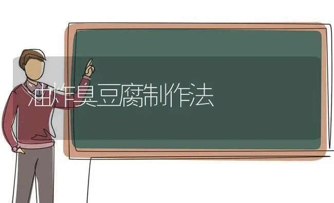 油炸臭豆腐制作法 | 养殖技术大全