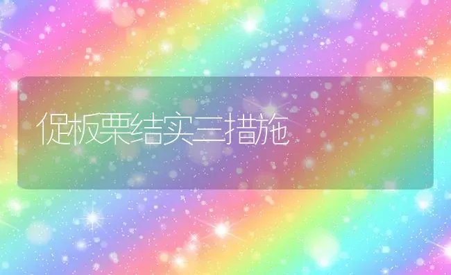 促板栗结实三措施 | 养殖技术大全