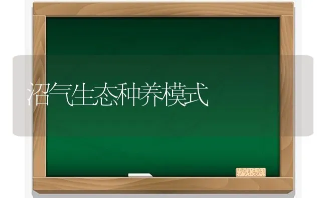 沼气生态种养模式 | 养殖技术大全