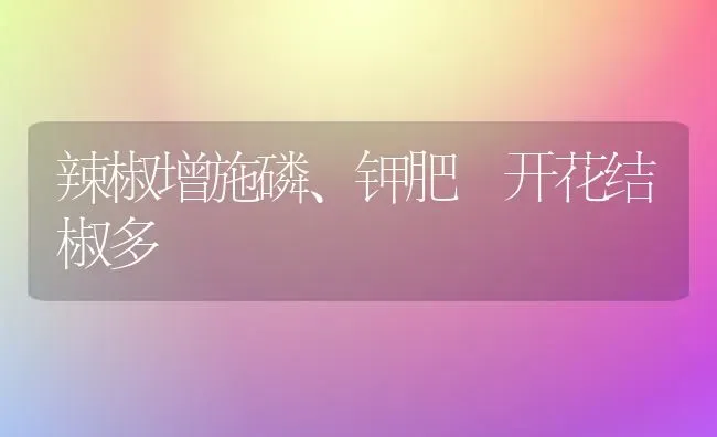 辣椒增施磷、钾肥 开花结椒多 | 养殖知识
