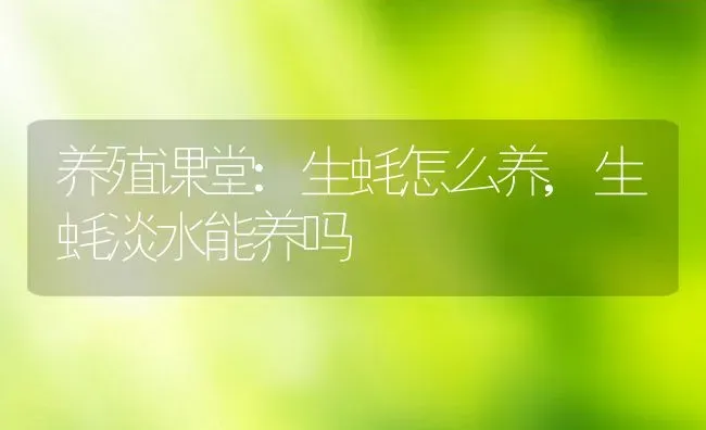 养殖课堂:生蚝怎么养,生蚝淡水能养吗 | 养殖学堂