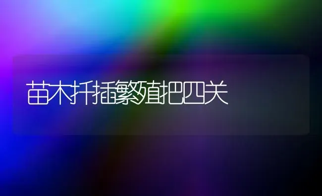苗木扦插繁殖把四关 | 养殖技术大全