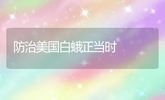 防治美国白蛾正当时 | 养殖技术大全