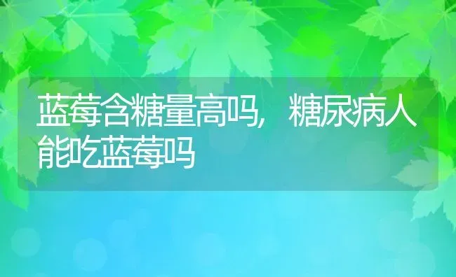 蓝莓含糖量高吗,糖尿病人能吃蓝莓吗 | 养殖学堂