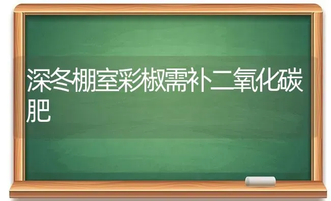 深冬棚室彩椒需补二氧化碳肥 | 养殖知识