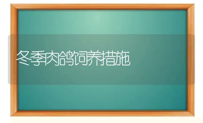 冬季肉鸽饲养措施 | 养殖技术大全