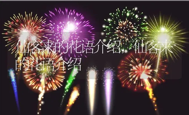 仙客来的花语介绍,仙客来的花语介绍 | 养殖科普