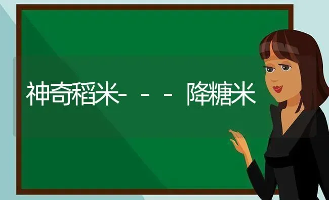 神奇稻米---降糖米 | 养殖技术大全