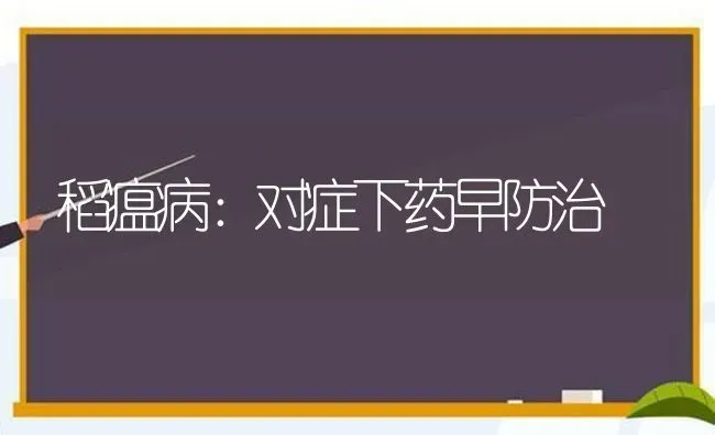 稻瘟病：对症下药早防治 | 养殖技术大全