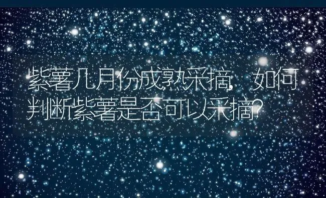 紫薯几月份成熟采摘,如何判断紫薯是否可以采摘？ | 养殖科普