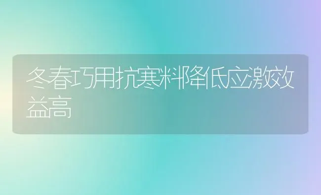 冬春巧用抗寒料降低应激效益高 | 养殖技术大全