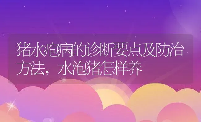 猪水疱病的诊断要点及防治方法,水泡猪怎样养 | 养殖学堂