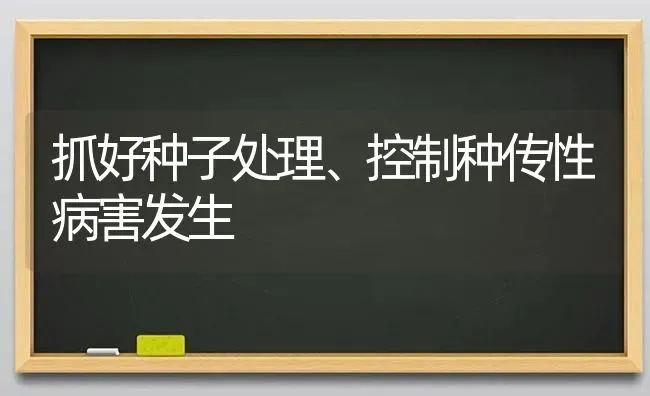 抓好种子处理、控制种传性病害发生 | 养殖技术大全