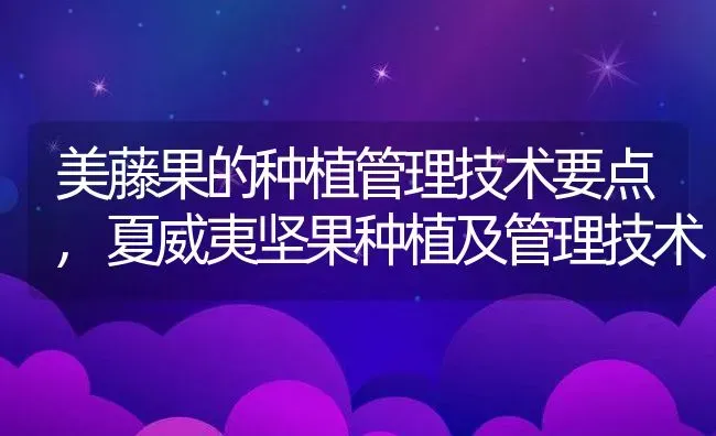 美藤果的种植管理技术要点,夏威夷坚果种植及管理技术 | 养殖学堂