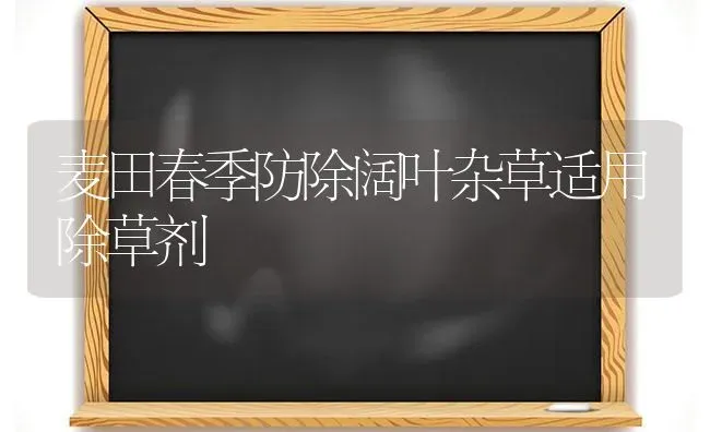 麦田春季防除阔叶杂草适用除草剂 | 养殖知识