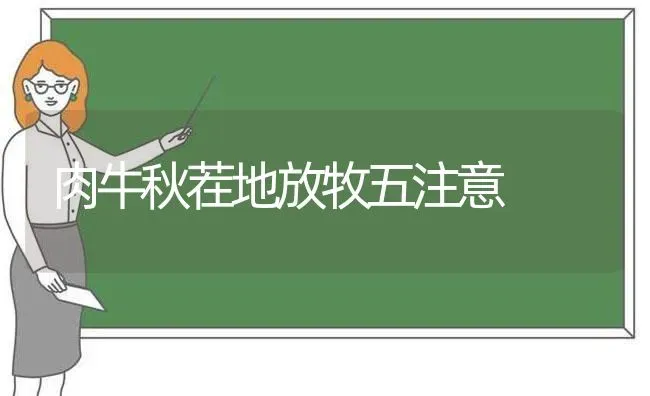 肉牛秋茬地放牧五注意 | 养殖技术大全