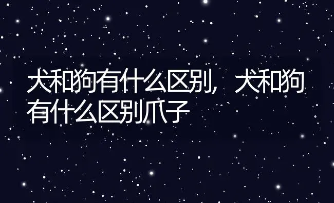 犬和狗有什么区别,犬和狗有什么区别爪子 | 养殖科普