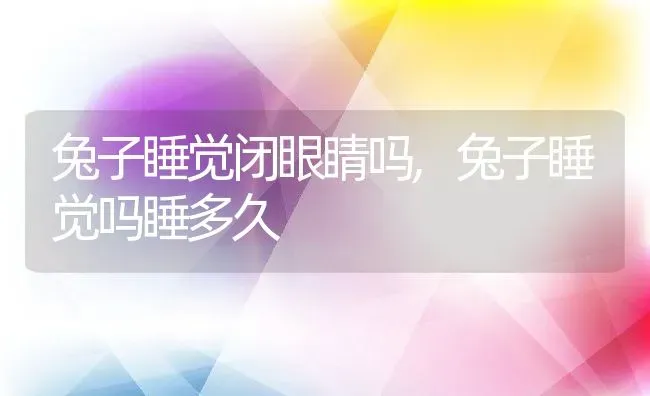 兔子睡觉闭眼睛吗,兔子睡觉吗睡多久 | 养殖科普