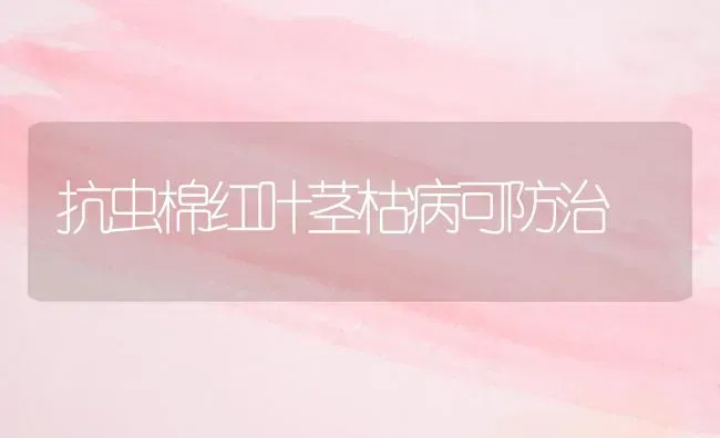 抗虫棉红叶茎枯病可防治 | 养殖知识