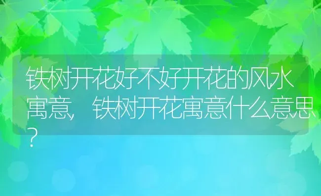 樱花树的果实长什么样,单花瓣樱花结果可以吃吗？ | 养殖科普