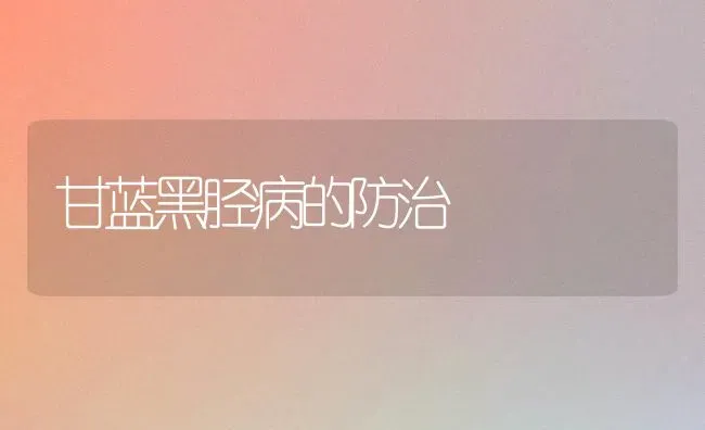 甘蓝黑胫病的防治 | 养殖知识